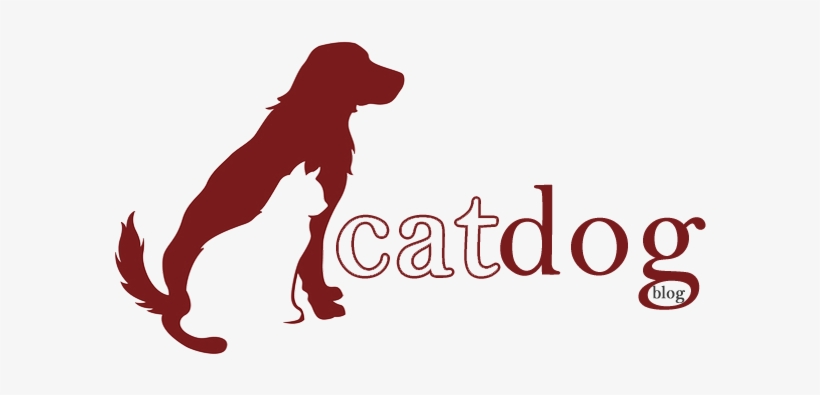 Cat & Dog Blog - Cat, transparent png #853546