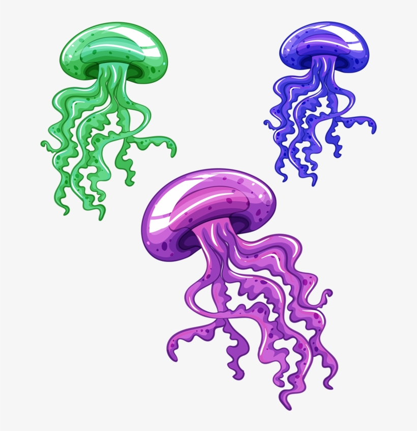 Hbdv S F Png Clip Art And - Cartoon Sea Fish Png, transparent png #854788