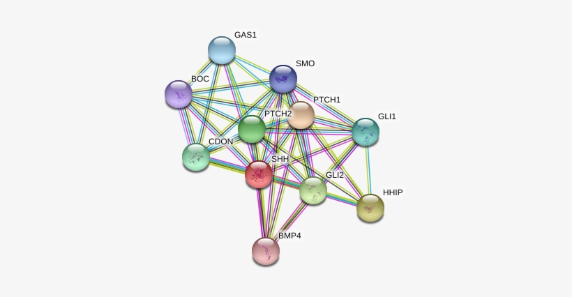 Circle, transparent png #855271