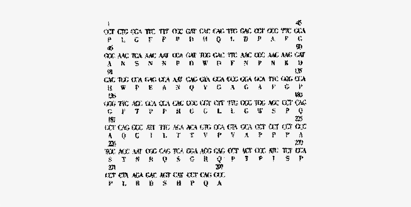 Nucleotide And Derived Amino Acid Sequence Of - Poetry, transparent png #855569