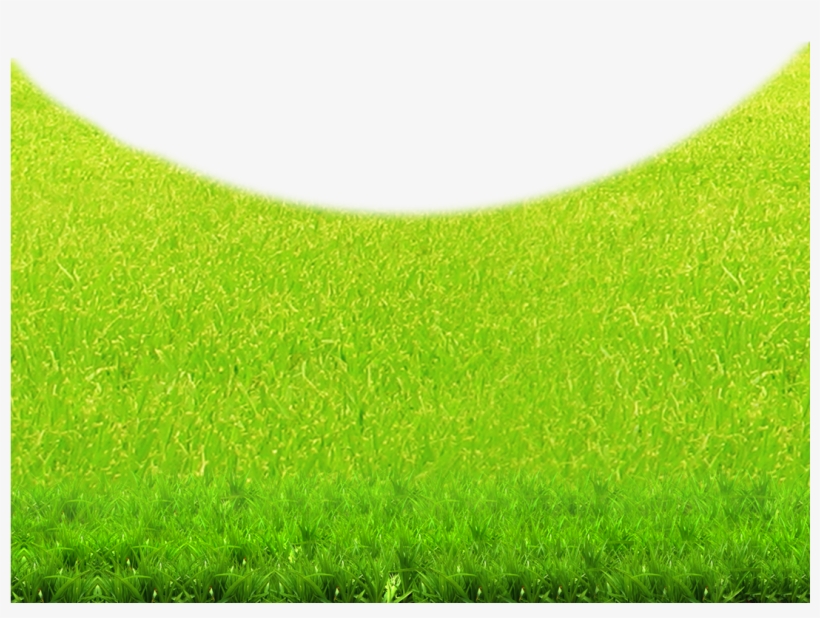 Lawn Green Grasses Grassland Wallpaper - Lawn, transparent png #855673
