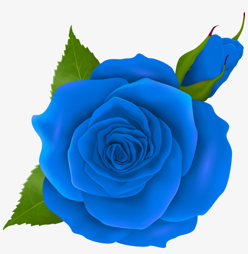 Blue Rose And Bud Transparent Png Clip Art, transparent png #855983
