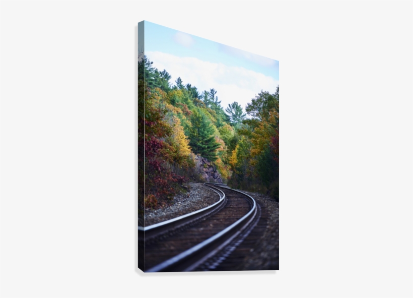 Railroad Tracks Through An Autumn Coloured Forest - Printscapes Wall Art: 24" X 36" Canvas Print - Railroad, transparent png #856449