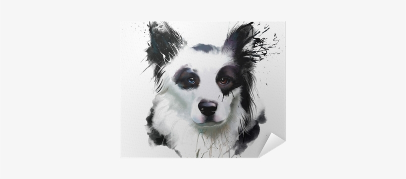 Watercolor Dog Portrait Of A Border Collie, Closeup - Collie, transparent png #857800
