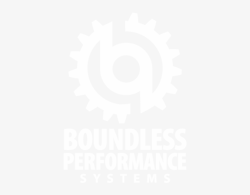 Bpsystems Logo Reversed Vertical 500x600px - Heuchera Melting Fire, transparent png #858597