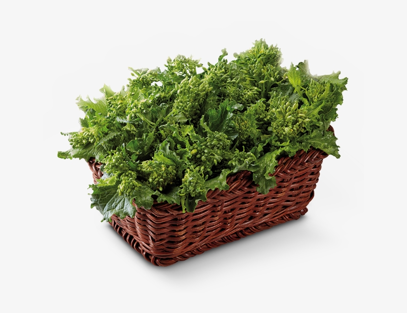 Frozen Food Gias - Parsley, transparent png #858944