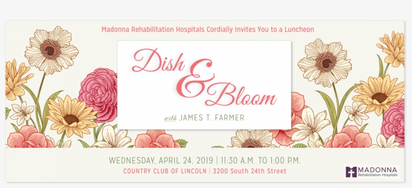 Save The Date - African Daisy, transparent png #8500474