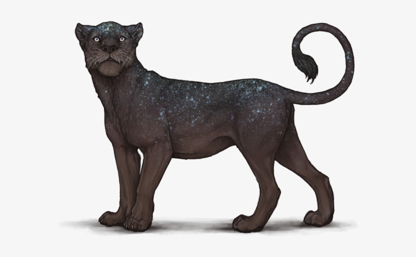 Nwrlyfn - Interstellar Lioden, transparent png #8500746