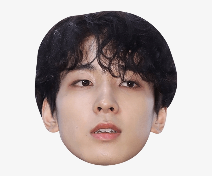 Finn Wolfhard Face Cut Out, transparent png #8501661
