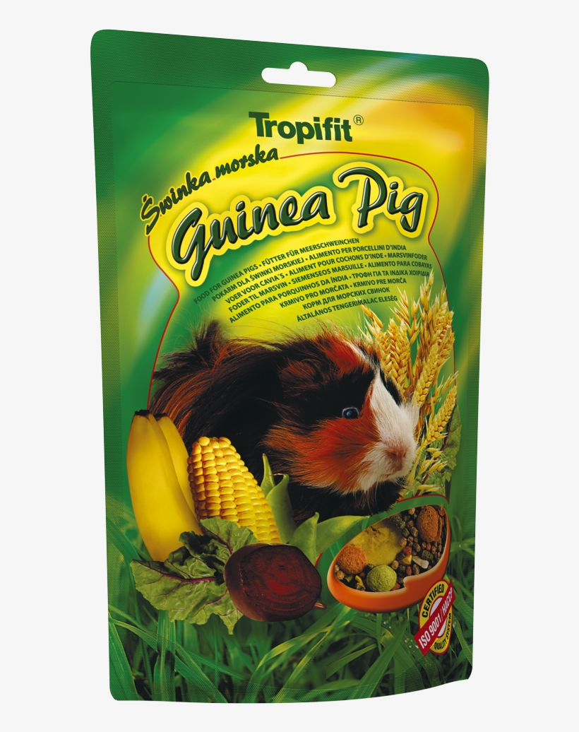 Tropifit Guinea Pig, transparent png #8501750