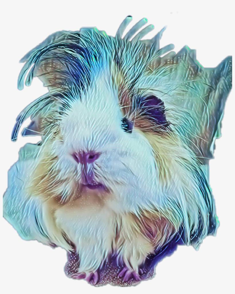 Scguineapig Sticker - Guinea Pig, transparent png #8502353
