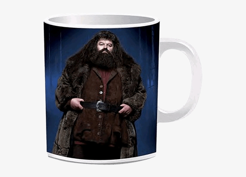 Hagrid Harry Potter Png, transparent png #8502395