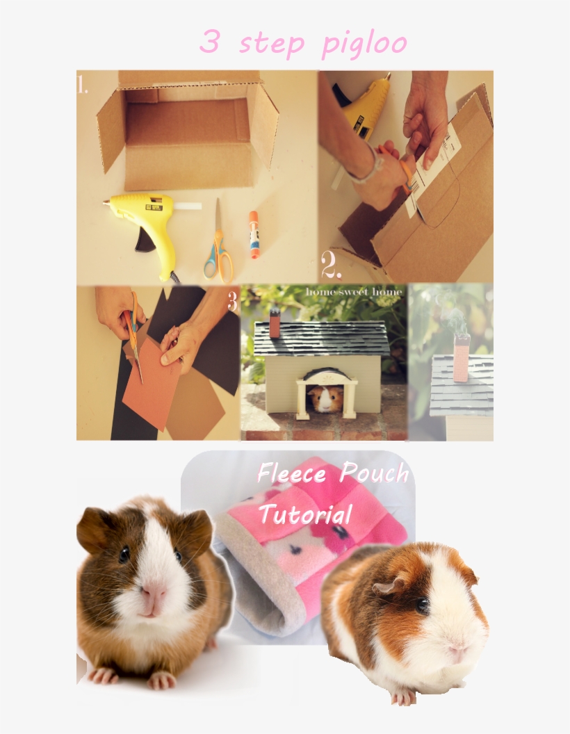 What Guinea Pig Wouldn't Want Their Very Own Homemade - Guinea Pig, transparent png #8502584