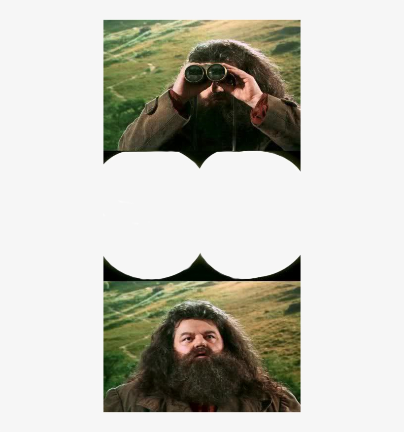 Copy Discord Cmd - Harry Potter Hagrid Meme, transparent png #8502585