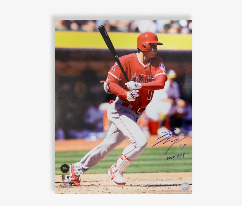 Gallery - College Baseball, transparent png #8502853