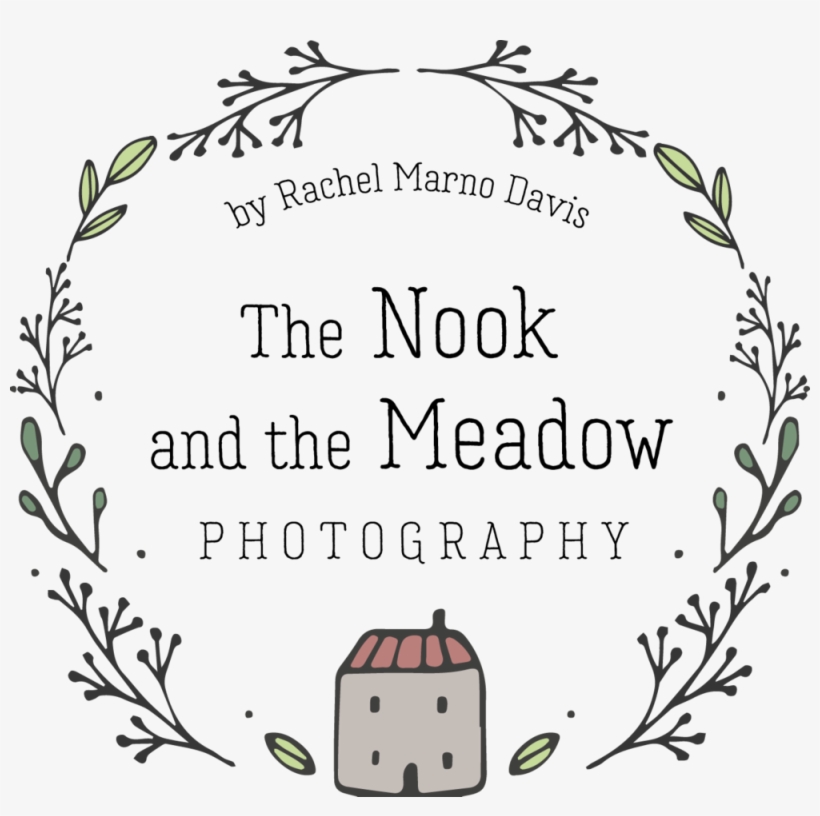 Meadow Png, transparent png #8503385