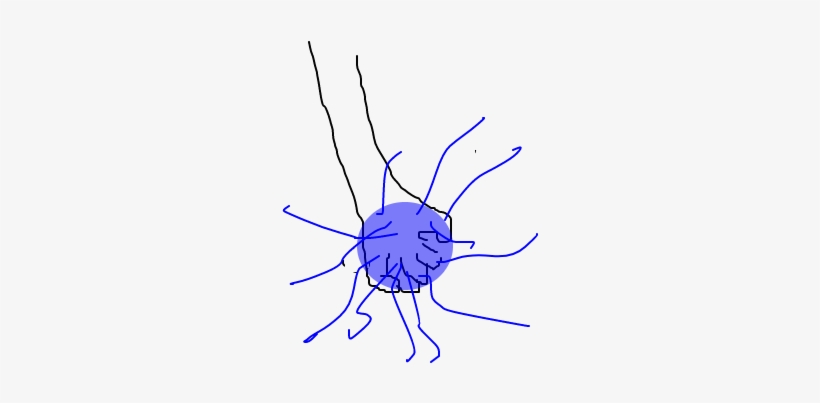 Chidori - Insect, transparent png #8504114