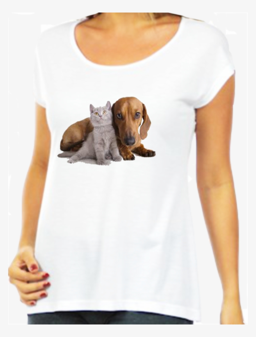 Cã£o E Gato Pro Site - Dog, transparent png #8504949