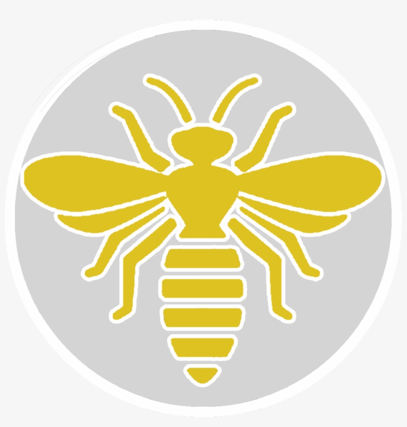 Contact Us Today - Hornet, transparent png #8506078