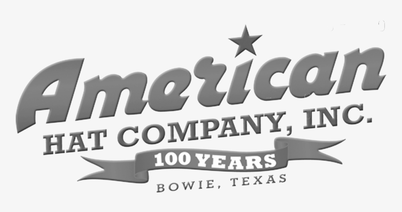 Americanhat - Air Force, transparent png #8506399