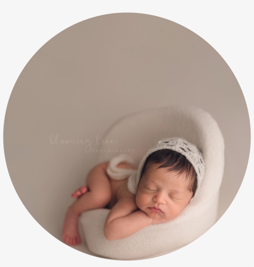 Frisco Newborn Photographer - Placa De Mão Dupla, transparent png #8506554