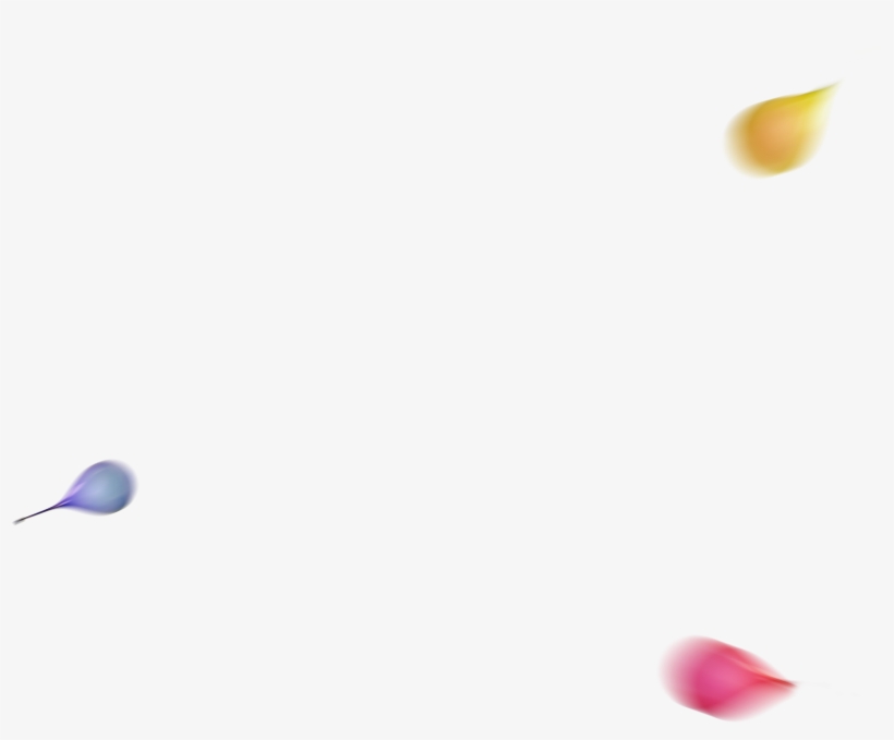 Happy Holi Editing Background - Perching Bird, transparent png #8508262