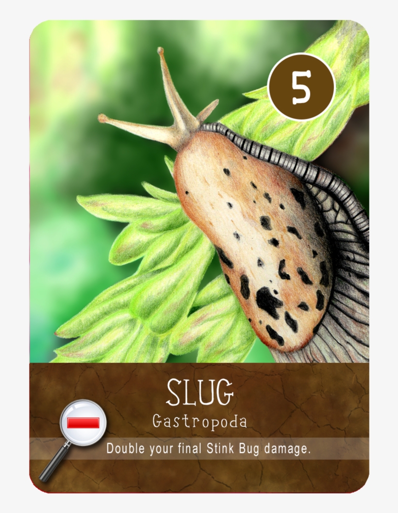 Slug Png, transparent png #8510269