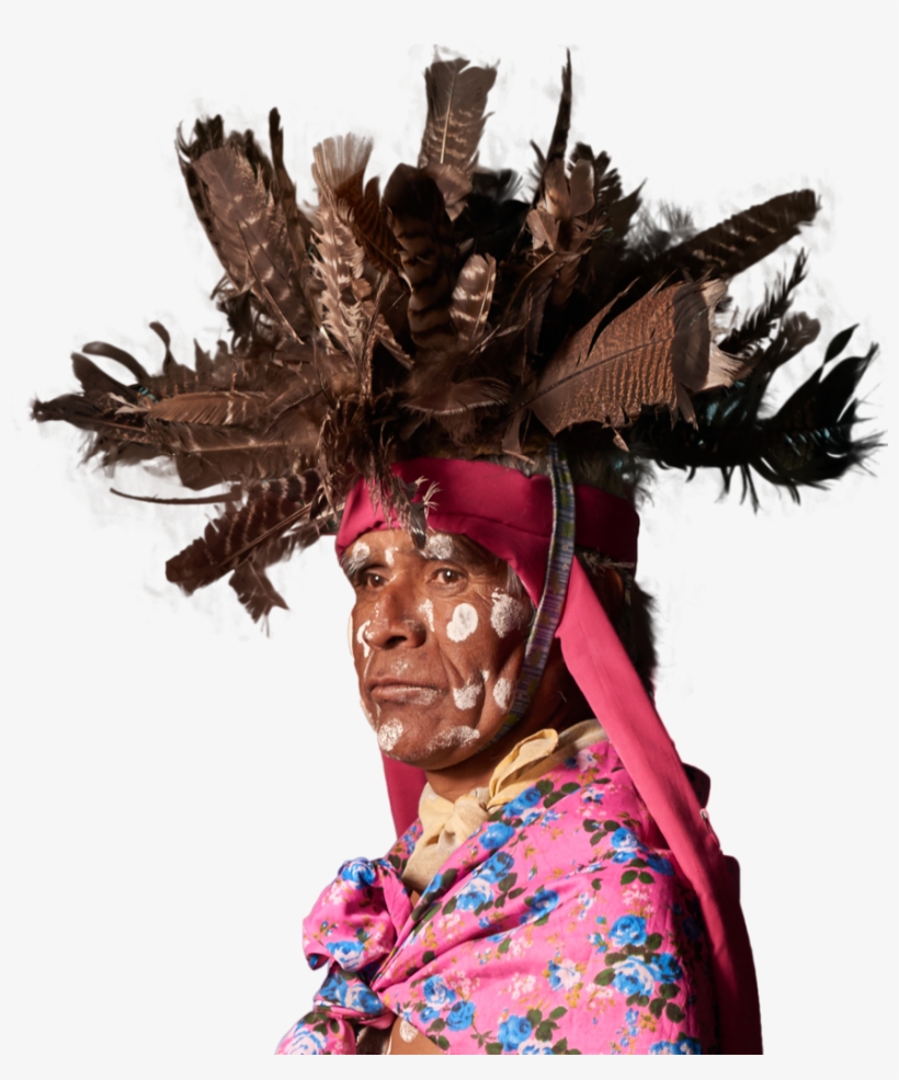 Resplandor Iguana - Carnival, transparent png #8511550