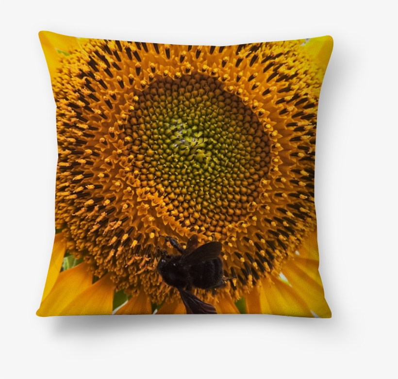 Almofada Abelha E Girasol De Müller Borgesna - Cushion, transparent png #8512348