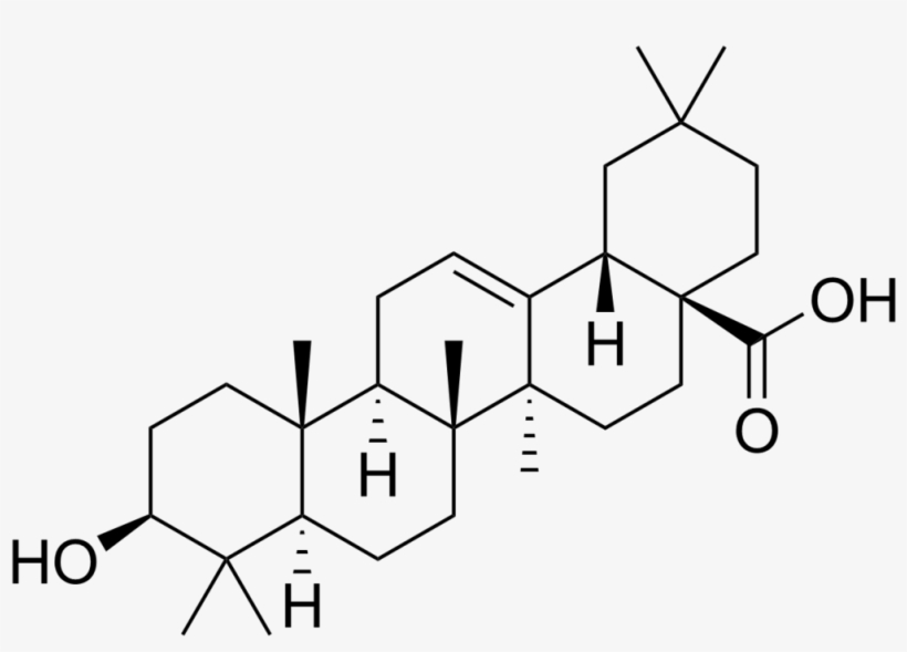 Oleanolic Acid - Maslinic Acid, transparent png #8512553