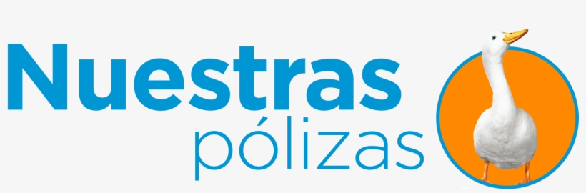 Nuestras Polizas - Graphics, transparent png #8514605