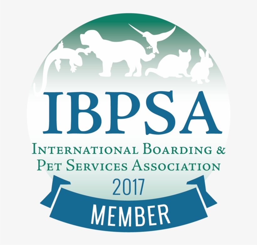 Napps Logo Ibpsa Active Member Badge 20174 - Poster, transparent png #8516719