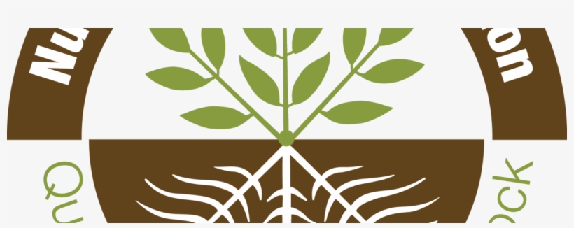 New Nsa Website - Illustration, transparent png #8516752