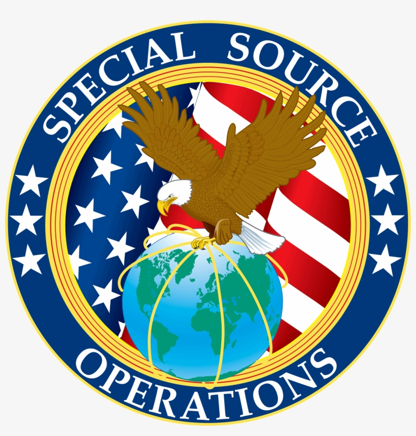 If The Nsa's Decision To Launch Sso Had Been Attended - Google Nsa, transparent png #8517681