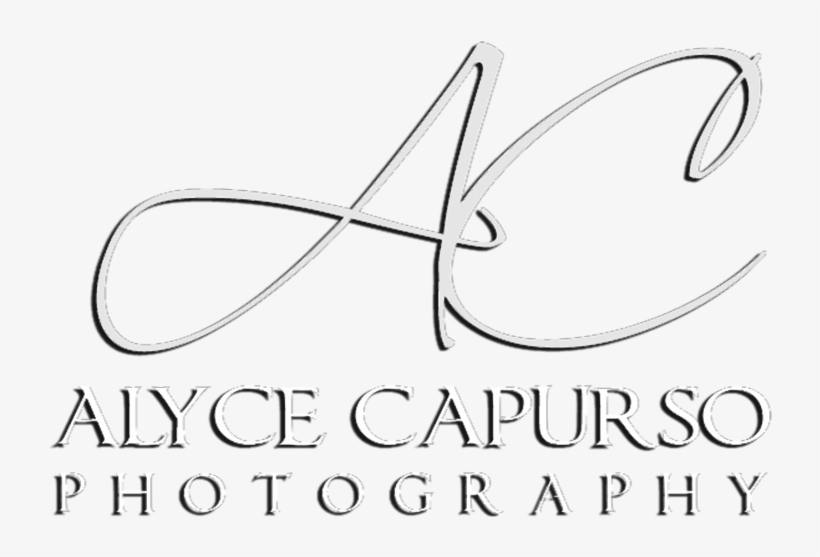 Alycecapurso - Com - Au - Calligraphy, transparent png #8517999