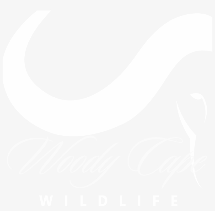 Woody Cape Wildlife - Calligraphy, transparent png #8519293