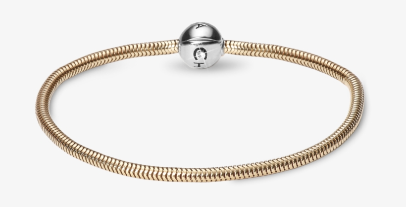 Back To News - Christina Armbånd Guld, transparent png #8519511