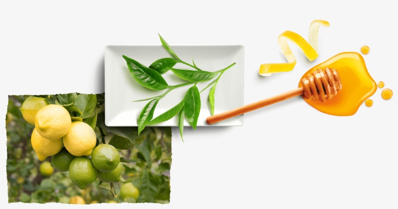 Antioxidant Support * - Key Lime, transparent png #8520589