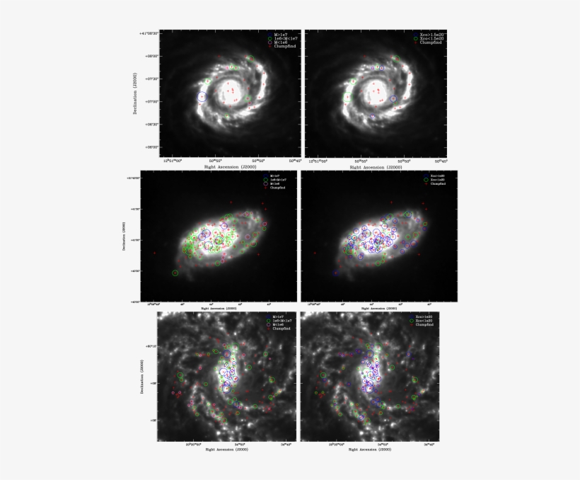 Maps Of Radius, Mass, And Xco Distribution In Ngc 4736, - Spiral Galaxy, transparent png #8521495