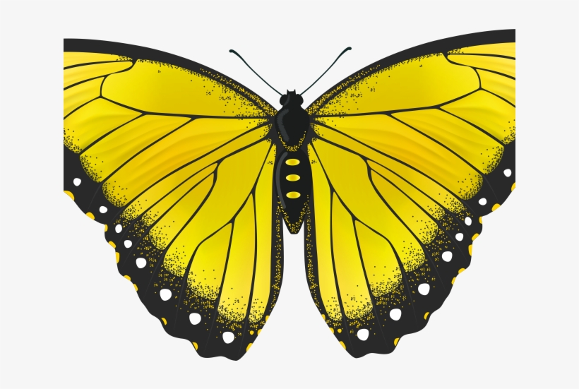 Monarch Butterfly Clipart Png Full Hd - Yellow Monarch Butterfly Png, transparent png #8523052