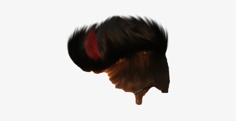 Hair Png ➤ Download - Fur, transparent png #8524503
