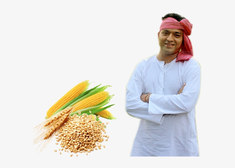 Whole Grain, transparent png #8524725