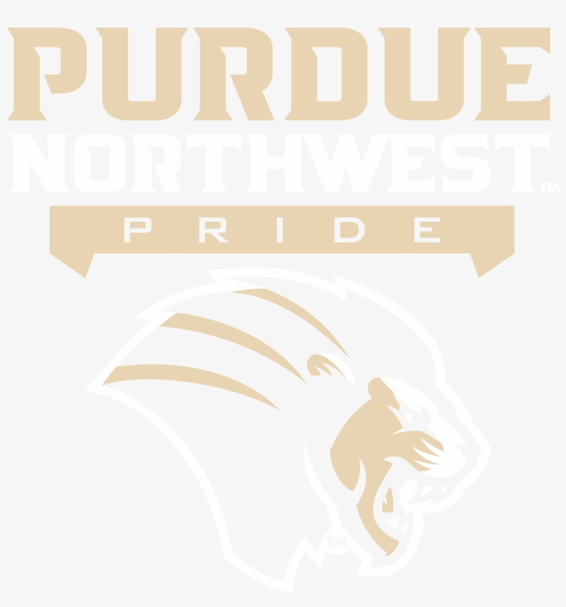 Download Png Format Informal University Mark - Poster, transparent png #8525682