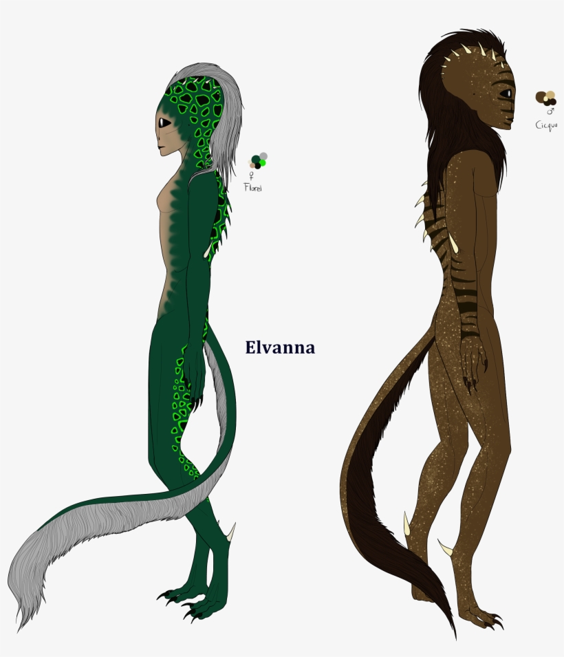 Recent Images - Illustration, transparent png #8526317