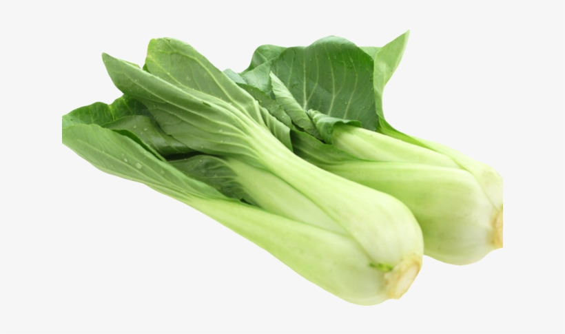 Bok Choy Clipart Vegtable - Bok Choy Png, transparent png #8526750