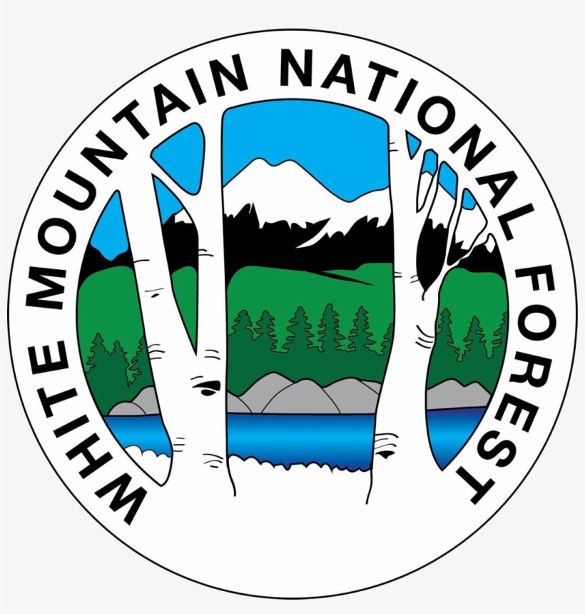 Hear The Forest &ndash Sound Snapshots Of White Mountains - Ely Pamatong, transparent png #8526949