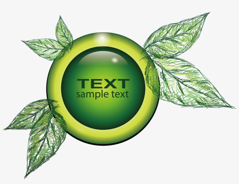 Decorative Leaf Png Transparent Image - Emblem, transparent png #8527055