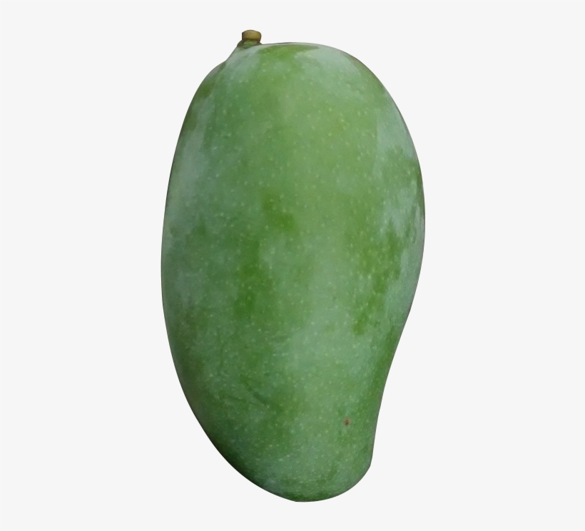 Green Mango Png - Hình Ảnh Quả Xoài Xanh, transparent png #8529038