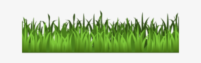 Grass Clipart Transparent Background - Clipart Transparent Grass, transparent png #8529195