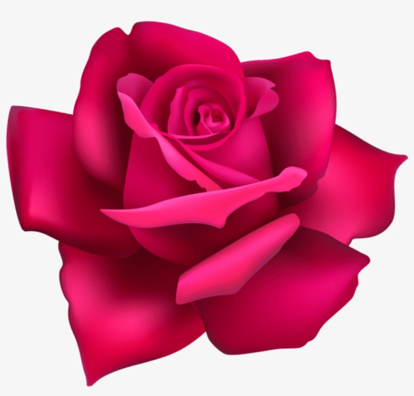 Free Png Rose Flower Pink Png Images Transparent - Portable Network Graphics, transparent png #8529540